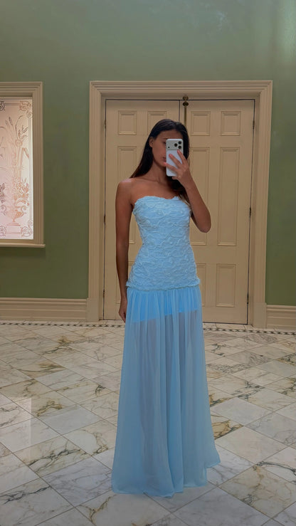 Jefre Sei Renata maxi dress in baby blue featuring a structured bodice and flowing chiffon skirt, available for dress hire in Adelaide and Australia for formal and event wear.